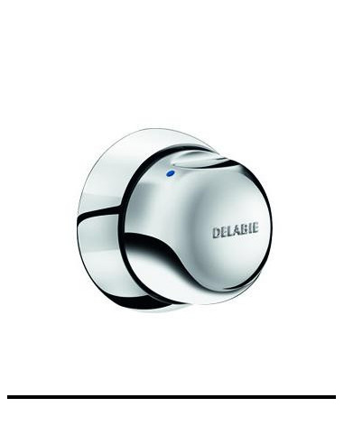 Delabie rob temporise douche 3/4